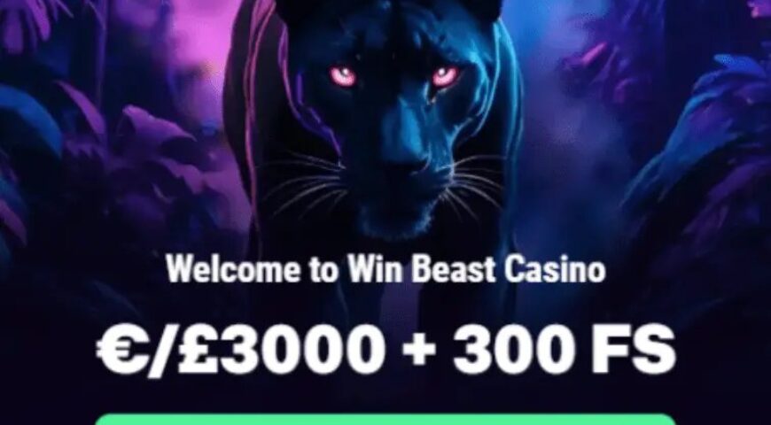 Discover the Thrills of WinBeast Casino – Exclusive Offers Inside